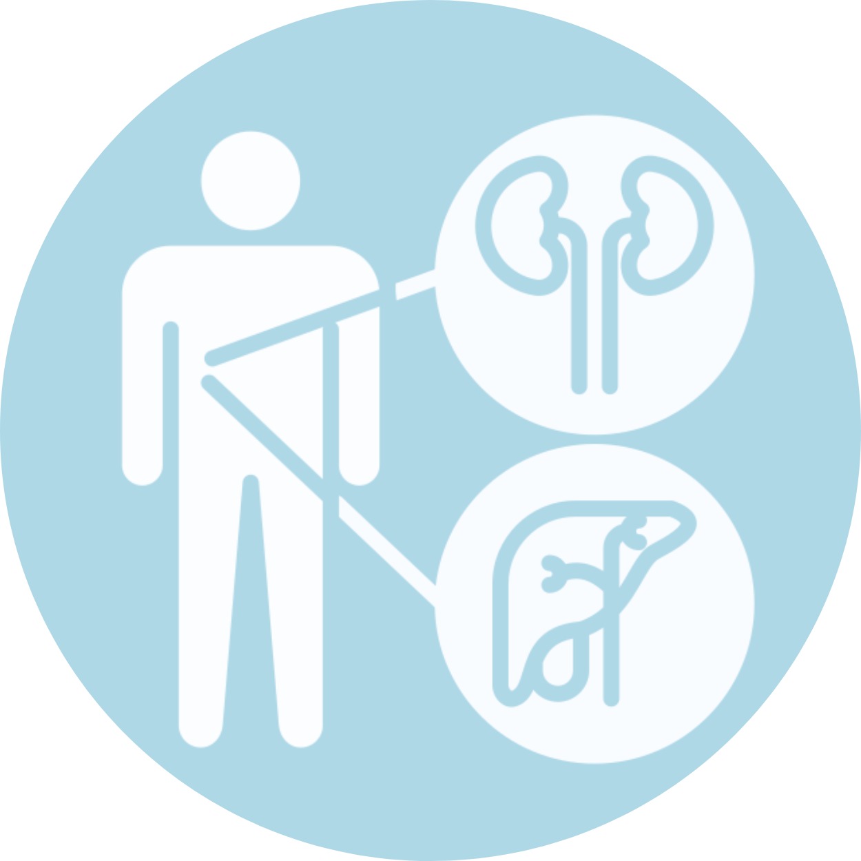 gallery section images one