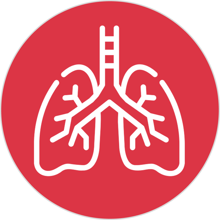Lungs