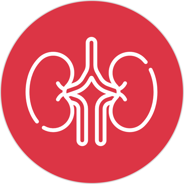 Kidney