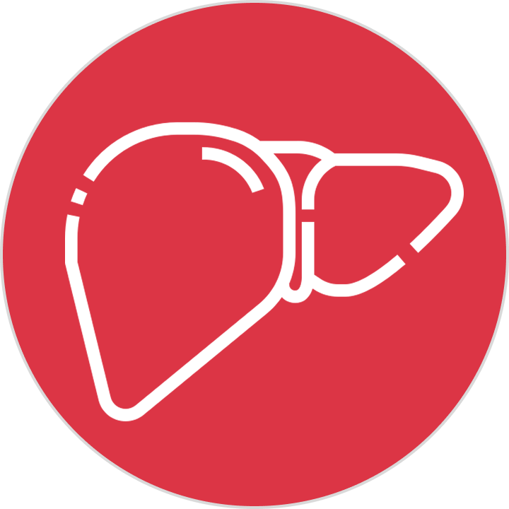 Liver