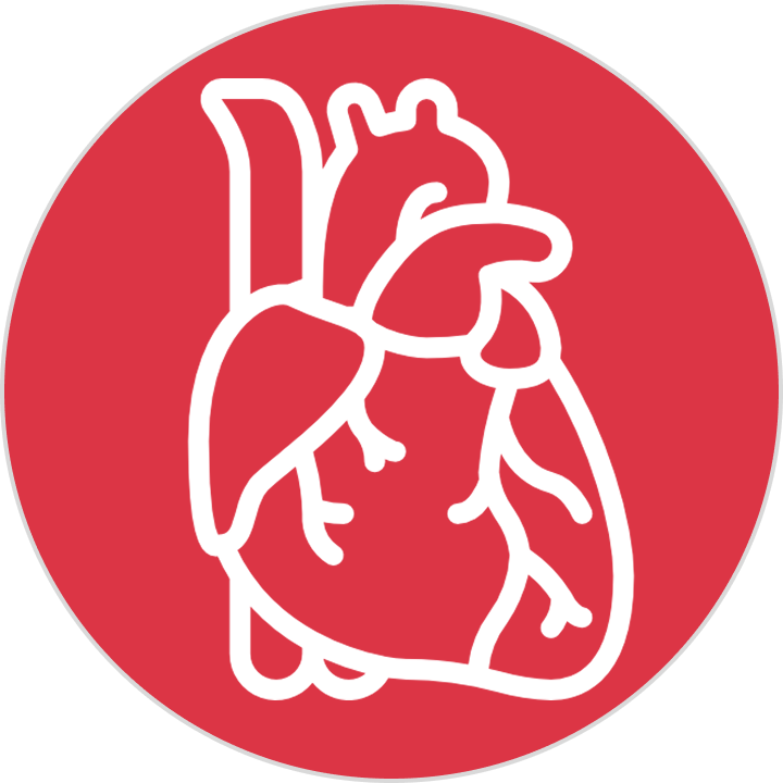 Heart